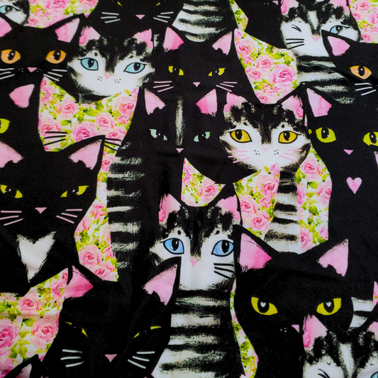 Chats