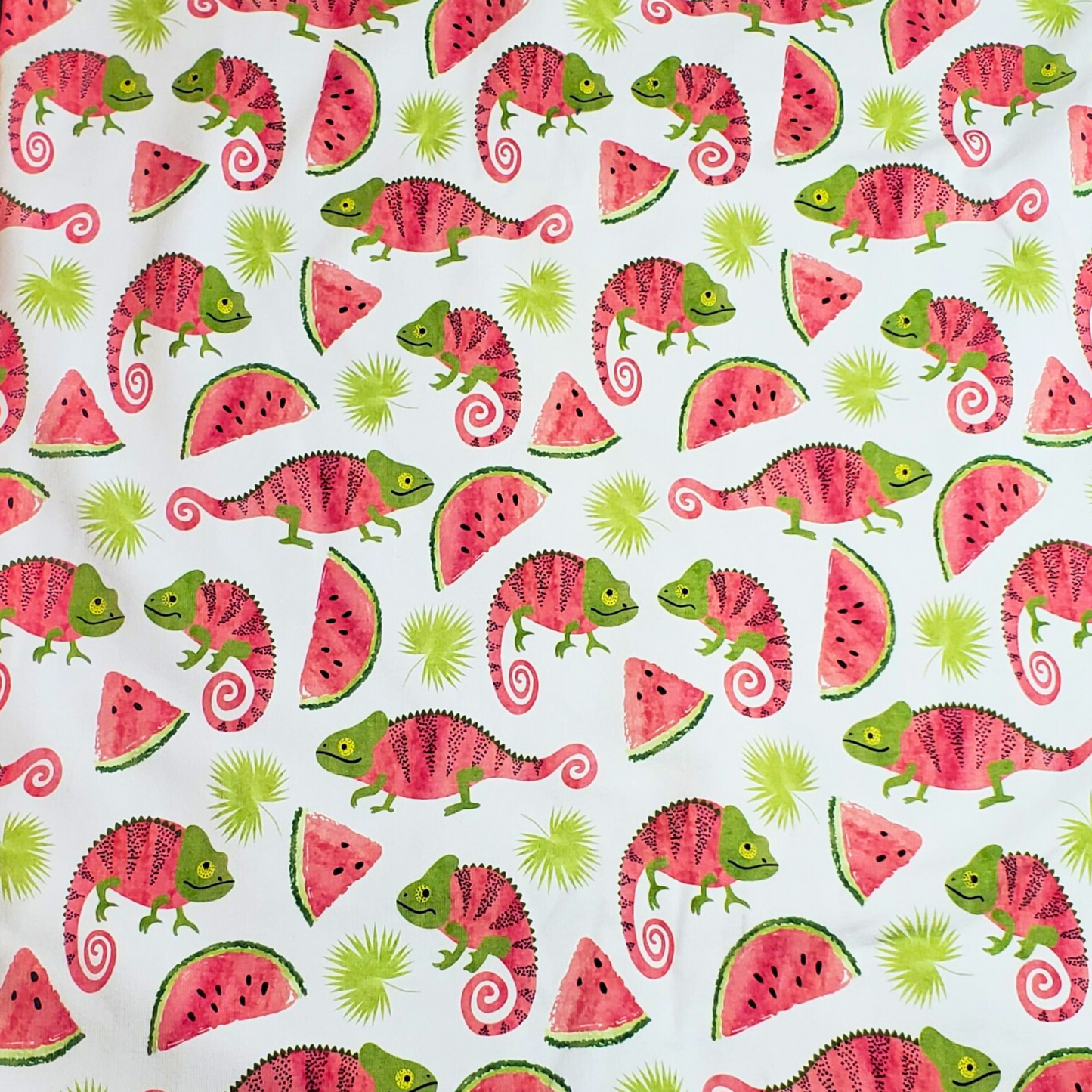 Caméléon et melon d'eau